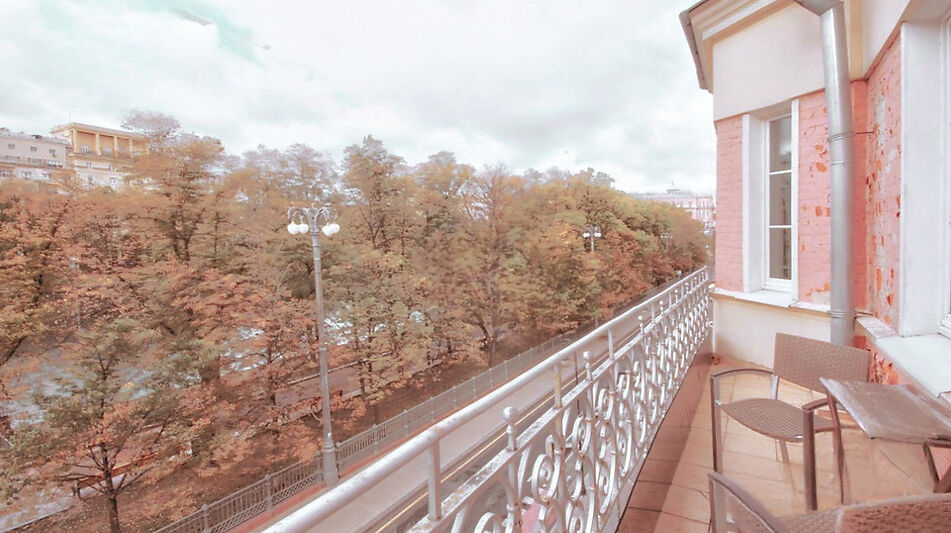 Видовая квартира на Патриарших