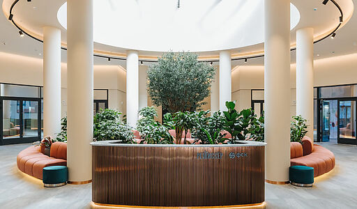 Видовой ЖК Режиссеер