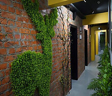 Готовый  бизнес на Кедрова