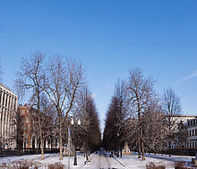 Арендный бизнес на Цветном