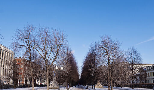 Арендный бизнес на Цветном