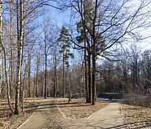 Просторный дом в Лианозово