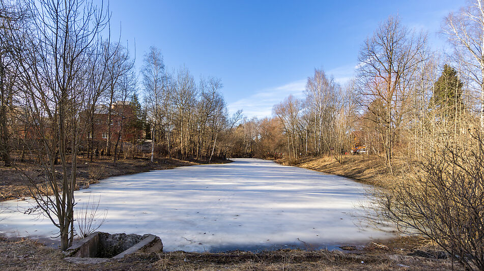 Просторный дом в Лианозово
