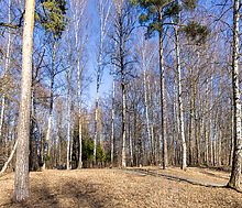 Дом под отделку в ДСК Ларин