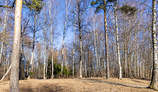 Дом под отделку в ДСК Ларин