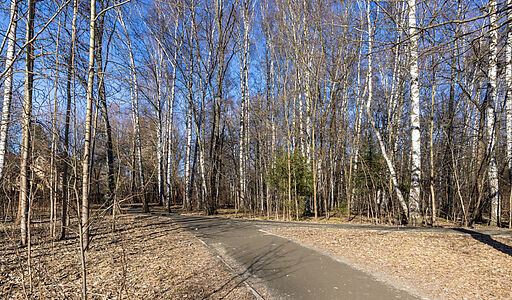 Таунхаус под отделку в Лианозово