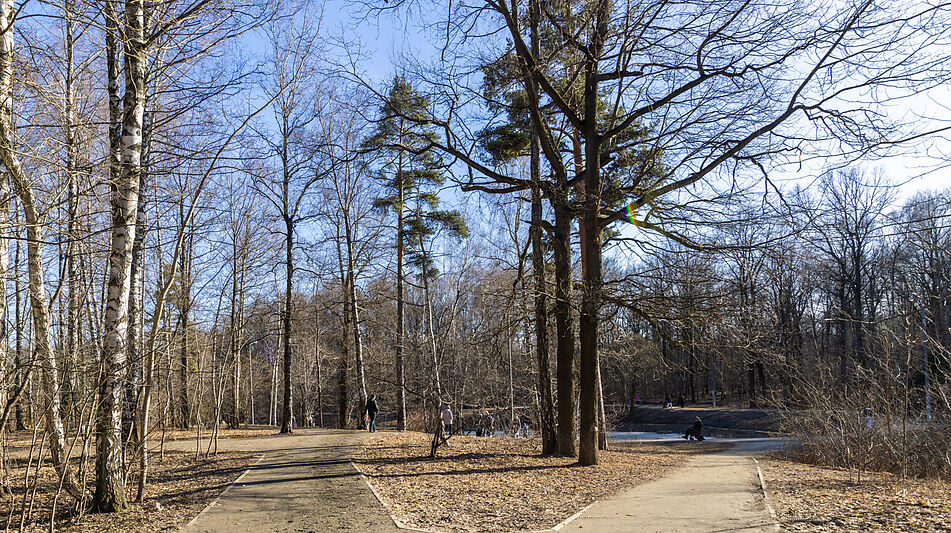 Уютный дом в Лианозово