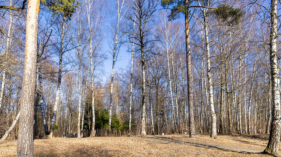 Уютный дом в Лианозово