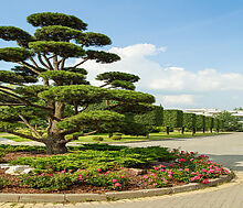 Стильный дом в КП Ренессанс парк