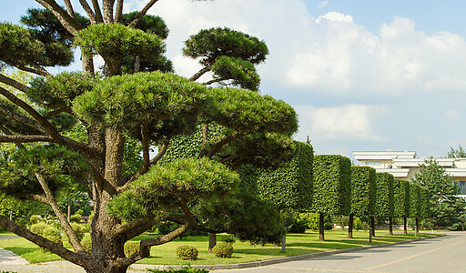 Стильный дом в КП Ренессанс парк
