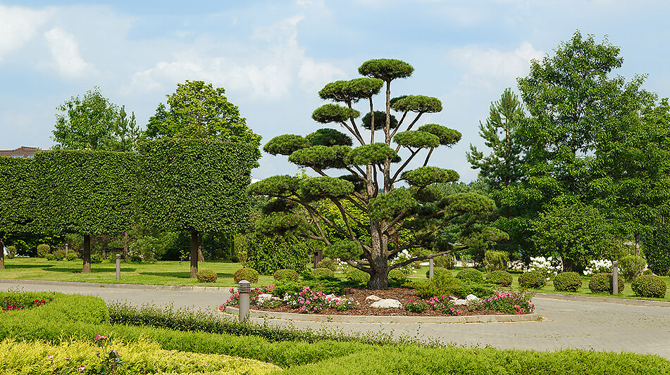 Стильный дом в КП Ренессанс парк