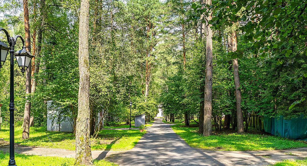 Успенские Дачи-1