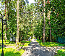 Успенские Дачи-1