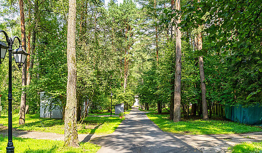 Успенские Дачи-1