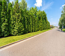 Современный таунхаус в КП Вешки-2