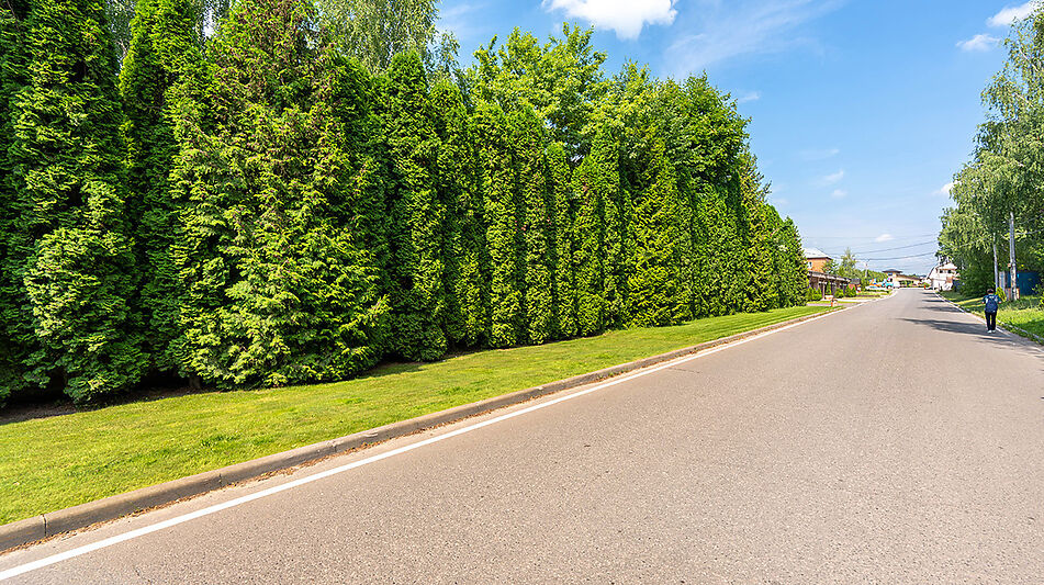 Современный таунхаус в КП Вешки-2