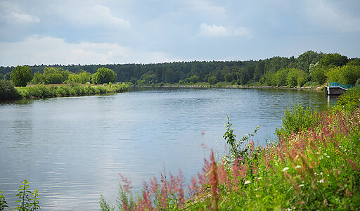 Участок на первой линии в Авроре