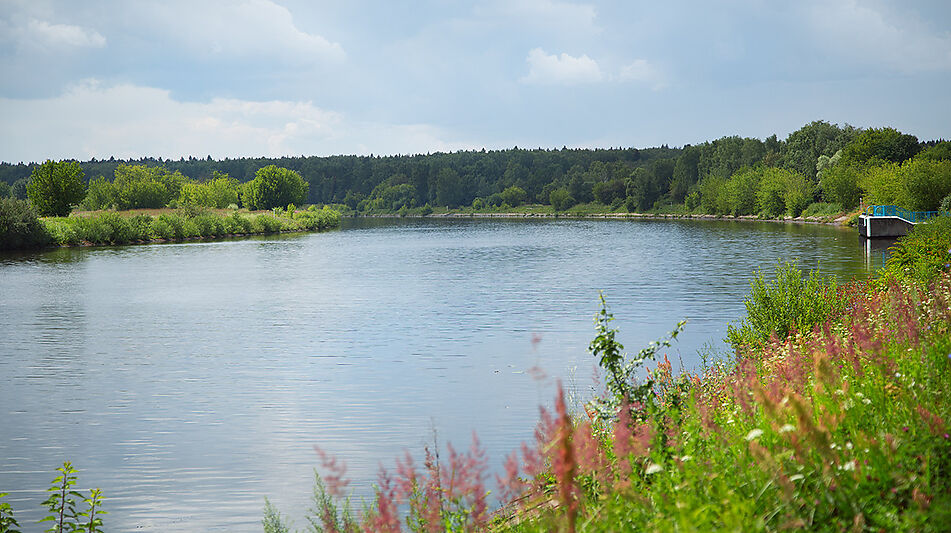 Участок на первой линии в Авроре