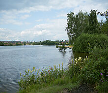 Участок на первой линии в Авроре