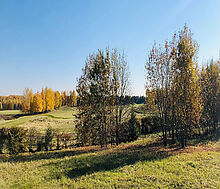 Видовой участок в Гольф Пестово