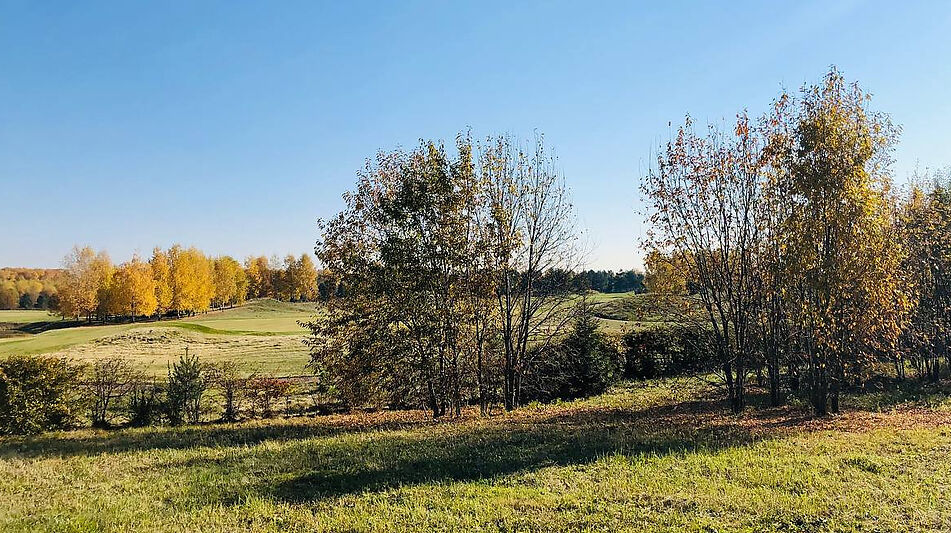 Видовой участок в Гольф Пестово