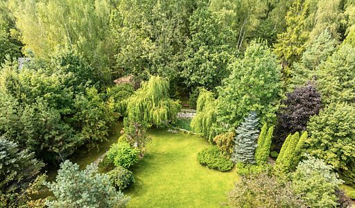 Прилесной дом в КП Аврора