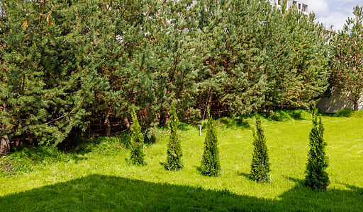 Дом под отделку в КП Прозорово