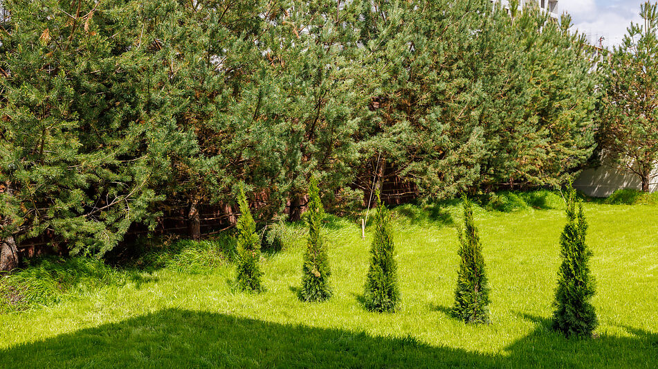 Дом под отделку в КП Прозорово