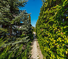 Новый дом в КП Миллениум парк