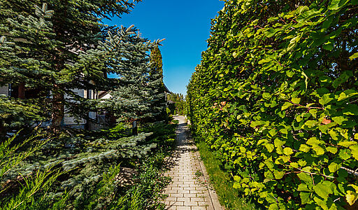 Новый дом в КП Миллениум парк