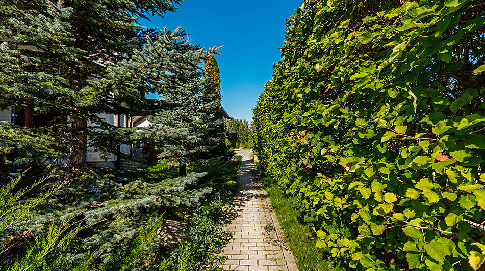 Новый дом в КП Миллениум парк