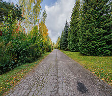 Веледниково