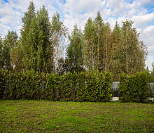 Дом в КП Папушево парк