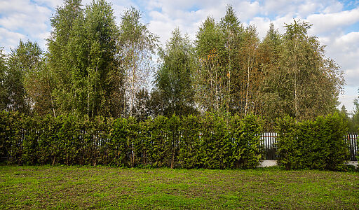 Дом в КП Папушево парк