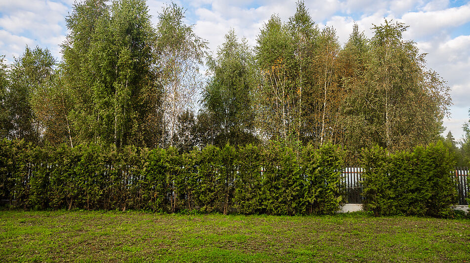 Дом в КП Папушево парк