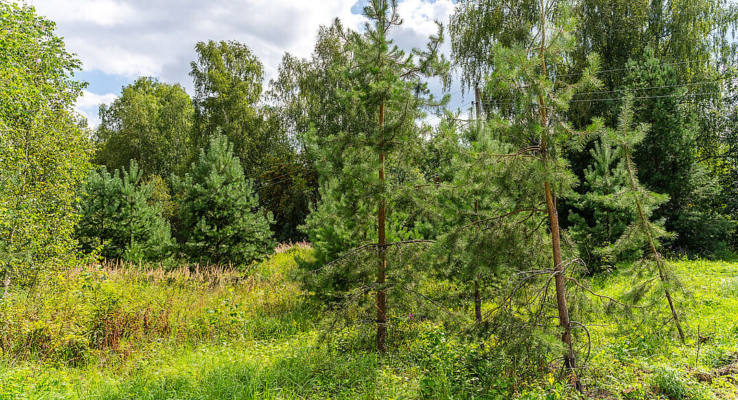 Озерна Резиденс