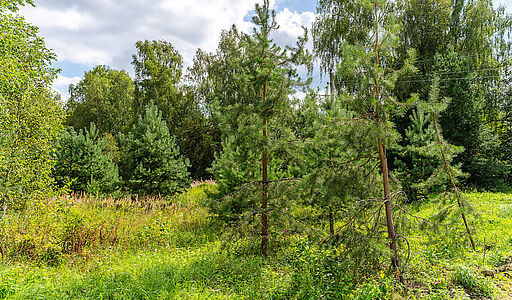 Озерна Резиденс