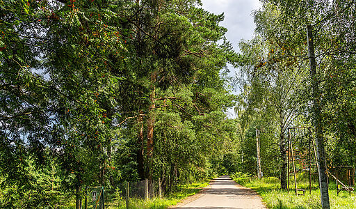 Участок в первой линии от воды