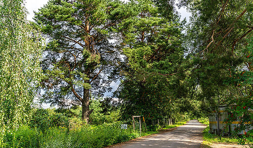 Участок в первой линии от воды