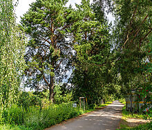 Участок в первой линии от воды