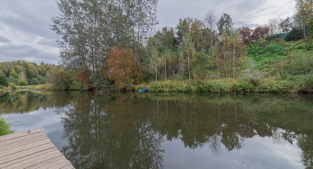 Семенищево