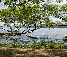 ПЕРВАЯ ЛИНИЯ В СОРОКИНО!