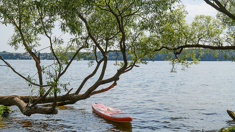 ПЕРВАЯ ЛИНИЯ В СОРОКИНО!