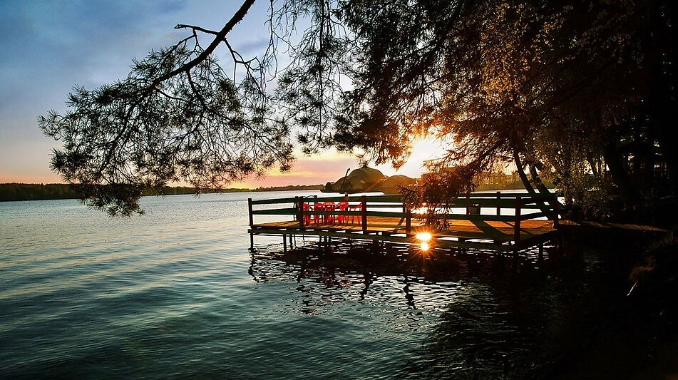 ПЕРВАЯ ЛИНИЯ В СОРОКИНО!