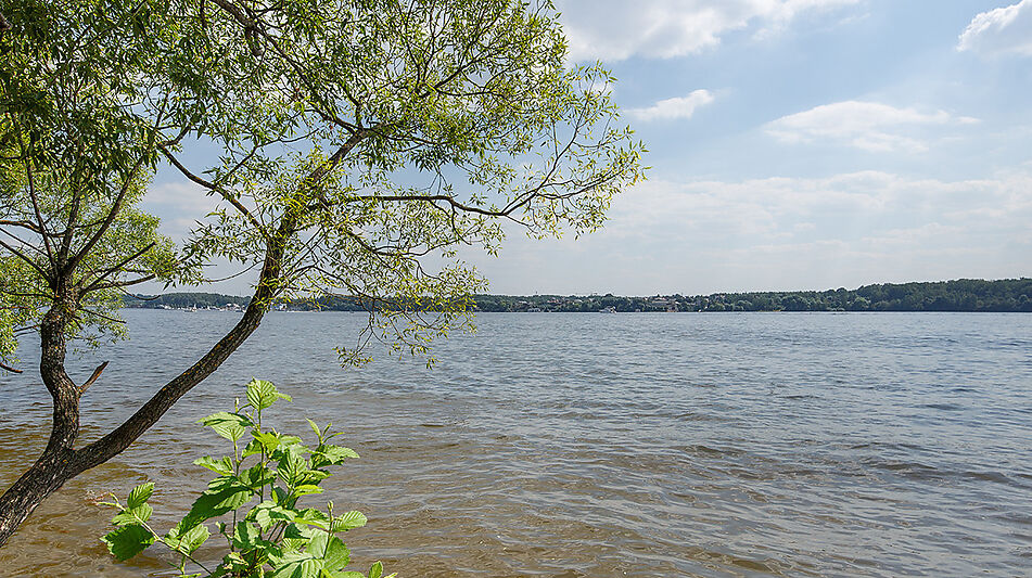 ПЕРВАЯ ЛИНИЯ В СОРОКИНО!