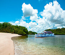 ПЕРВАЯ ЛИНИЯ В СОРОКИНО!