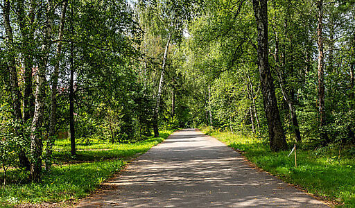 Участок в первой линии от воды