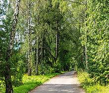 Участок в первой линии от воды