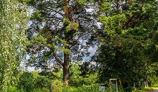 Участок в первой линии от воды