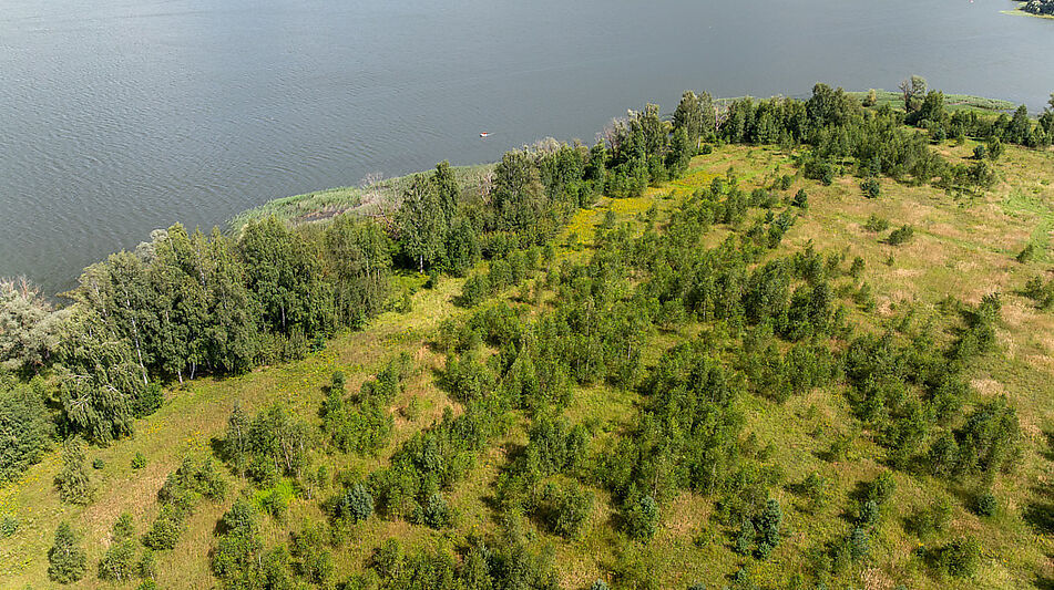 Участок в первой линии от воды